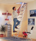 Loft Ladders