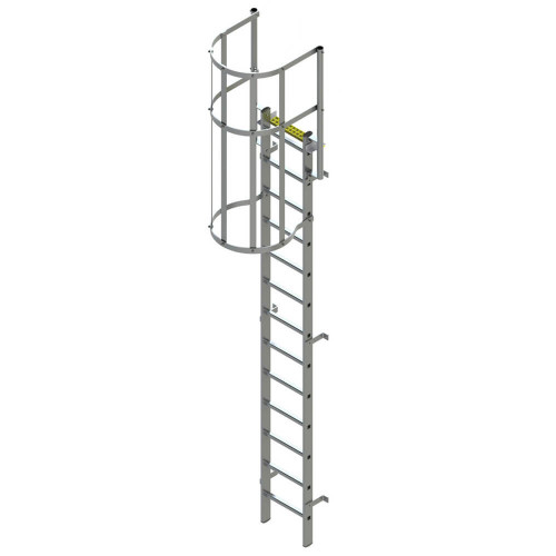 Fixed Roof Access Ladder with Hoops 9.24m