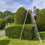 8 Tread Standard Tripod Ladder