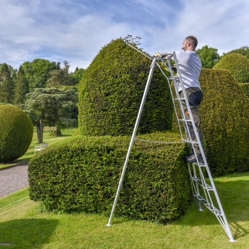 8 Tread Standard Tripod Ladder