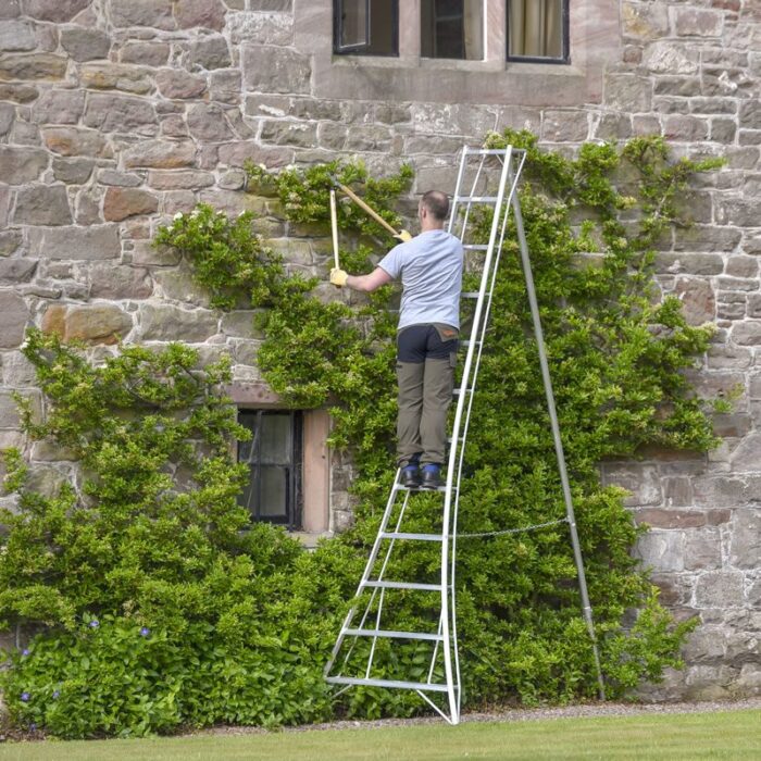 12 Tread Standard Tripod Ladder
